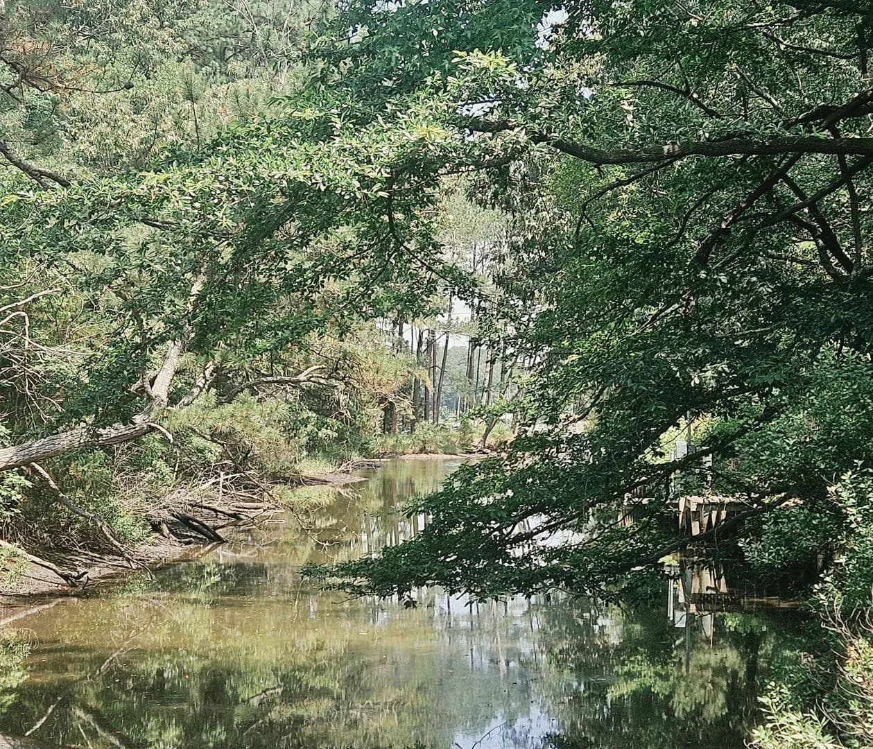 Land -Single Family Acreage in Onancock - Onancock, Virginia, 23417