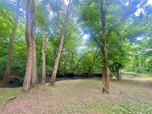 Vacant Land in Florence - Florence, Alabama, 35633