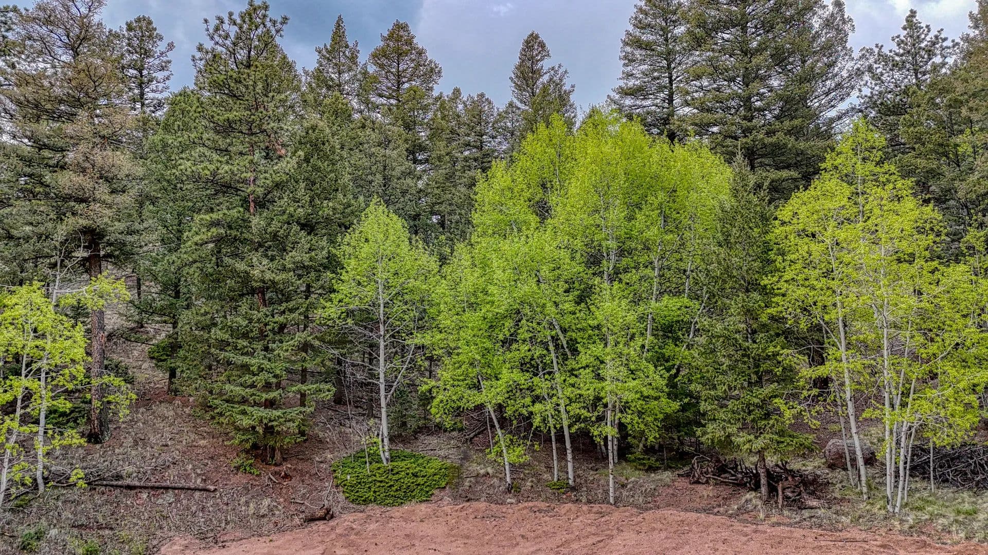Lots & Land-Other in Florissant - land for sale