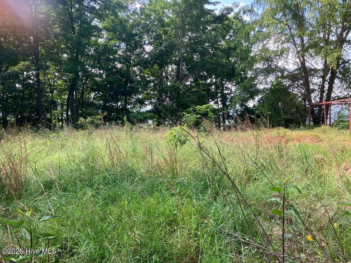 Property from Lot 51 Buck Ridge Drive - KW - Murphy, North Carolina, 28906