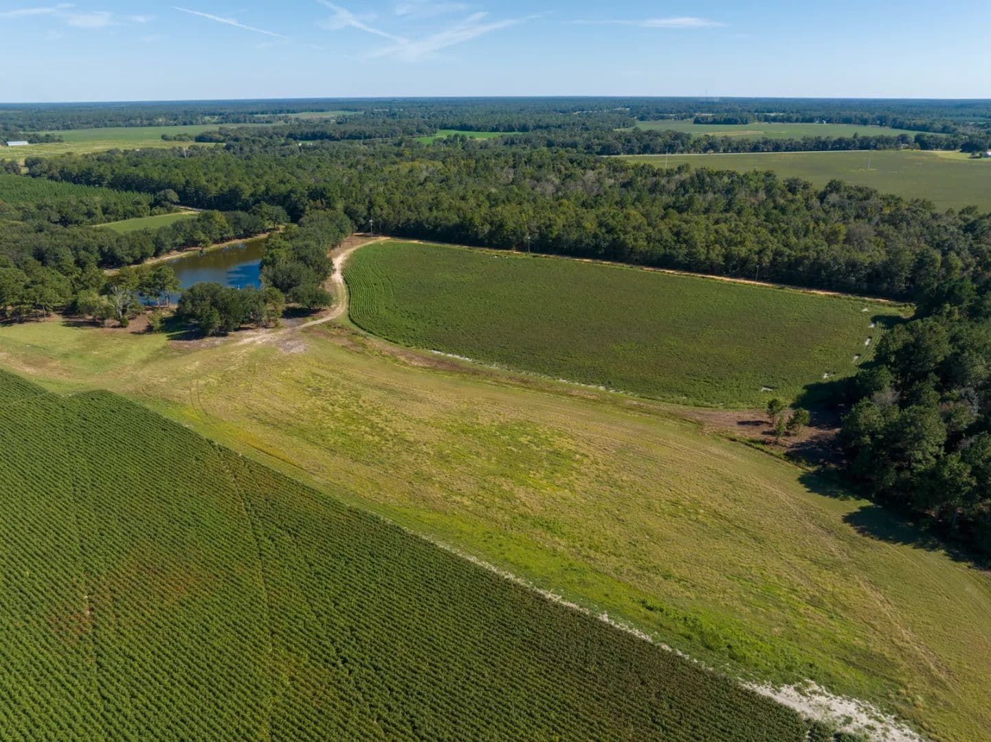 The Bush Farm - Arlington, Georgia, 39813