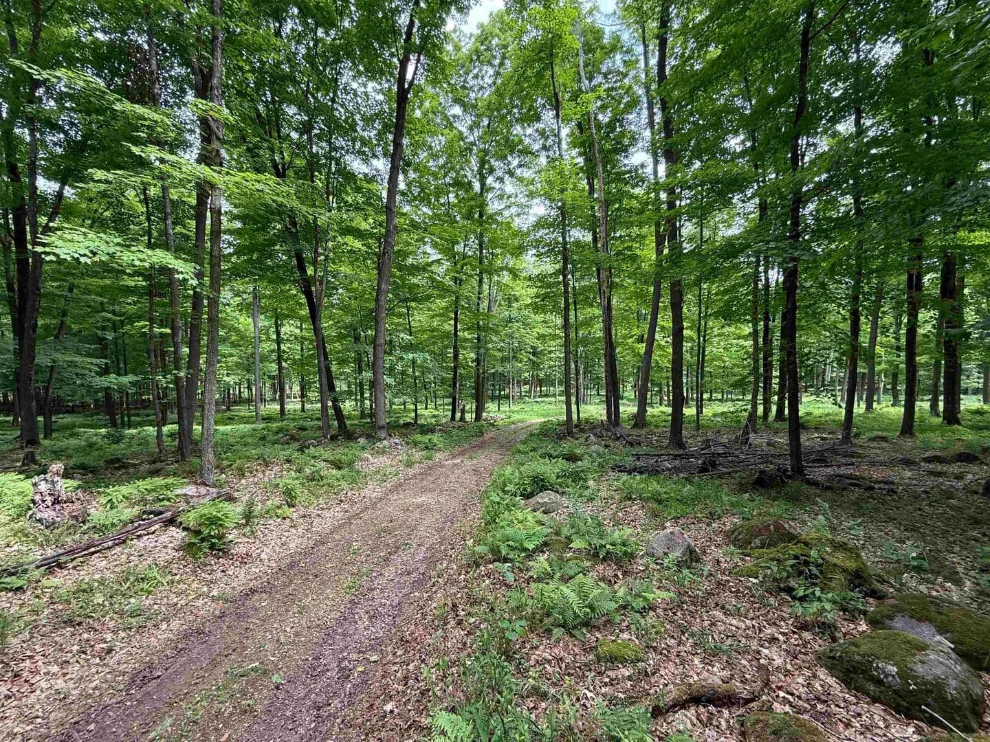 120 Acres of Land for Sale in Bowler, Wisconsin - Bowler, Wisconsin, 54416