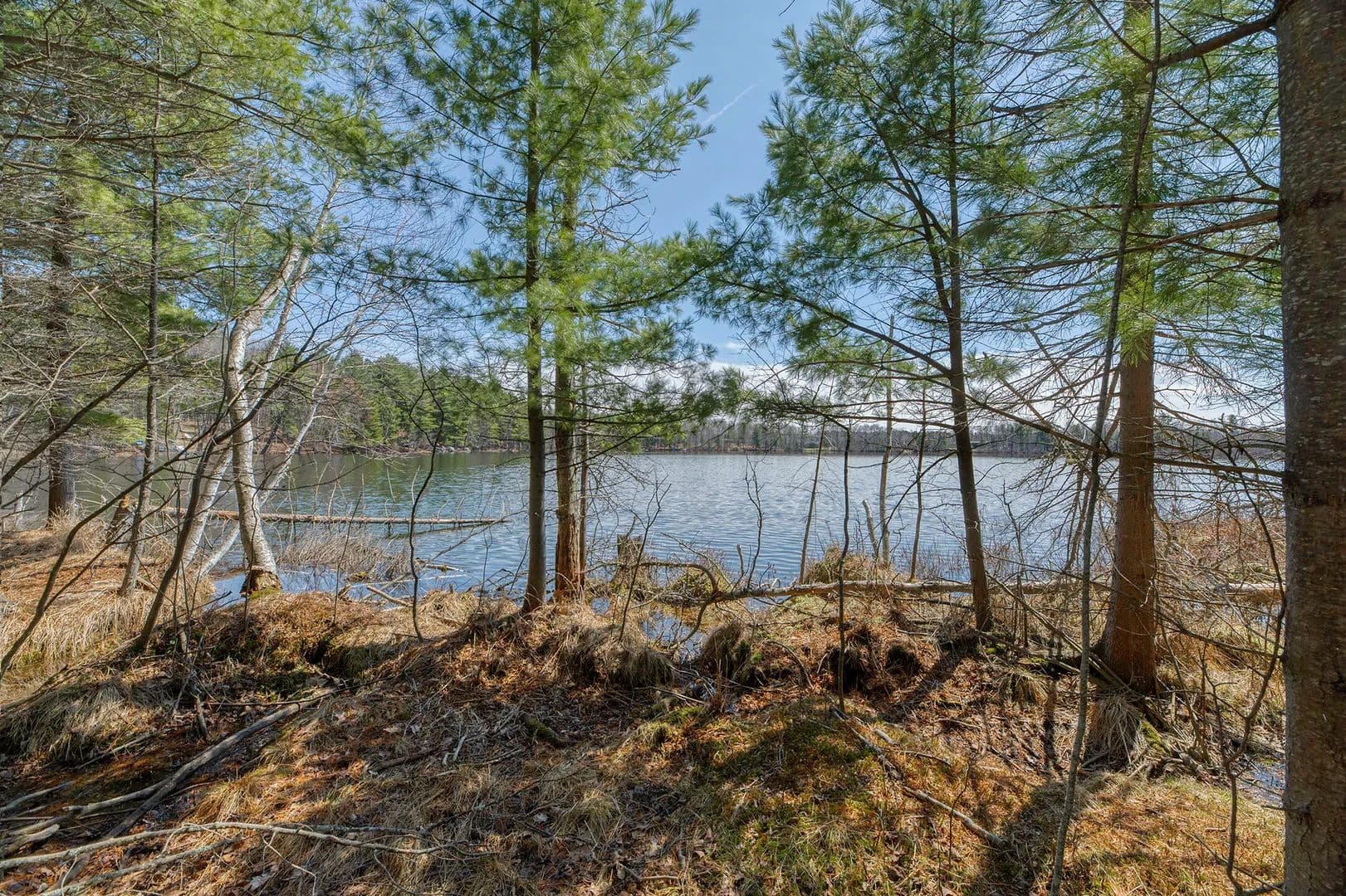 3.81 Acres of Land for Sale in Woodboro, Wisconsin - Woodboro, Wisconsin, 54487
