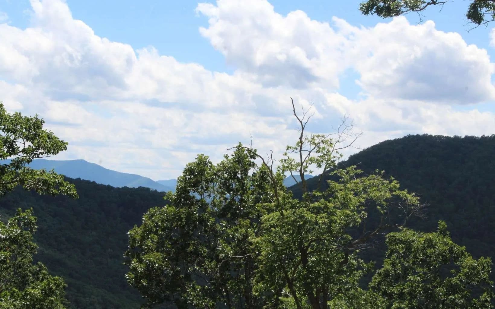 Lots & Land-Other in Hayesville - Hayesville, North Carolina, 28904