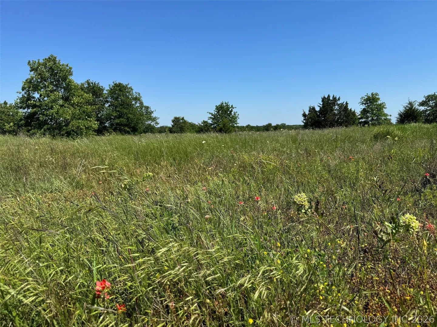 20 Acres of Land for Sale in Healdton, Oklahoma - Healdton, Oklahoma, 73438