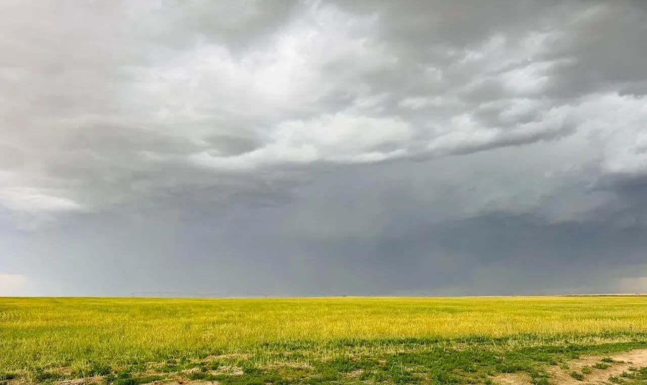 Baca County Farm 320+/- Acres - Walsh, Colorado, 81090