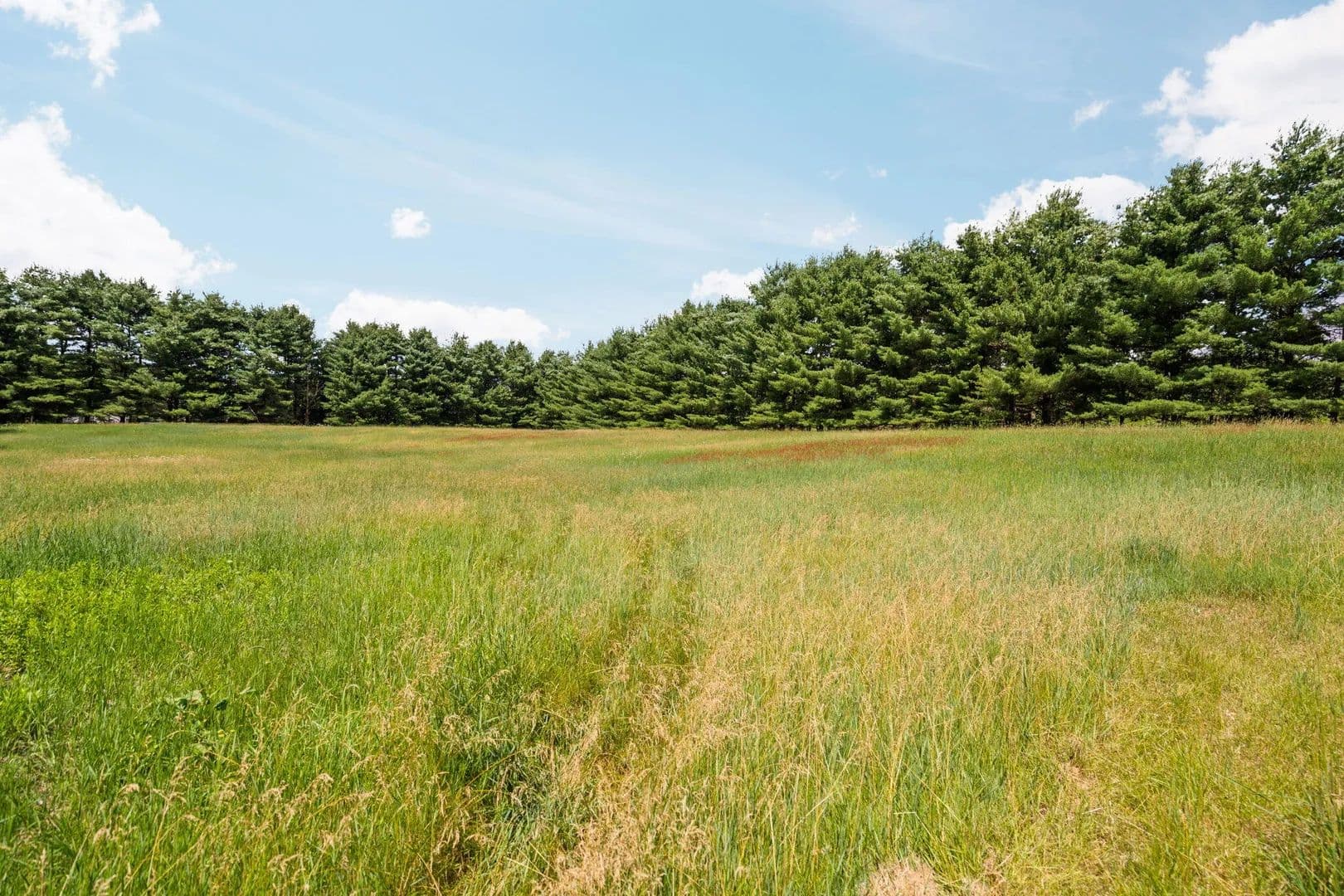 Vacant Land in Chelsea - Chelsea, Michigan, 48118