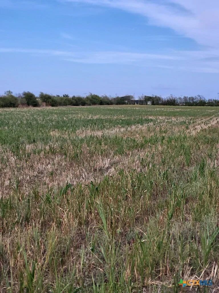 138 Acres of Land for Sale in Jarrell, Texas - Jarrell, Texas, 76537