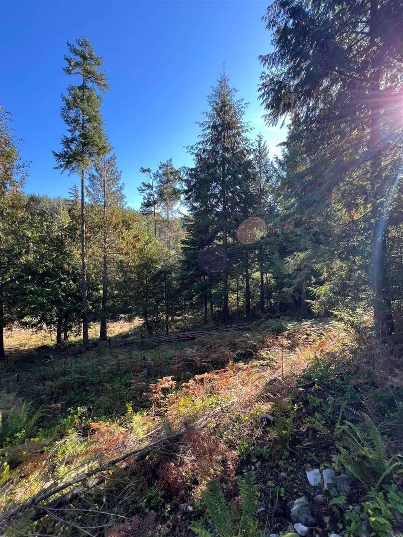Property from 13623 Lee Road - KW - Canada