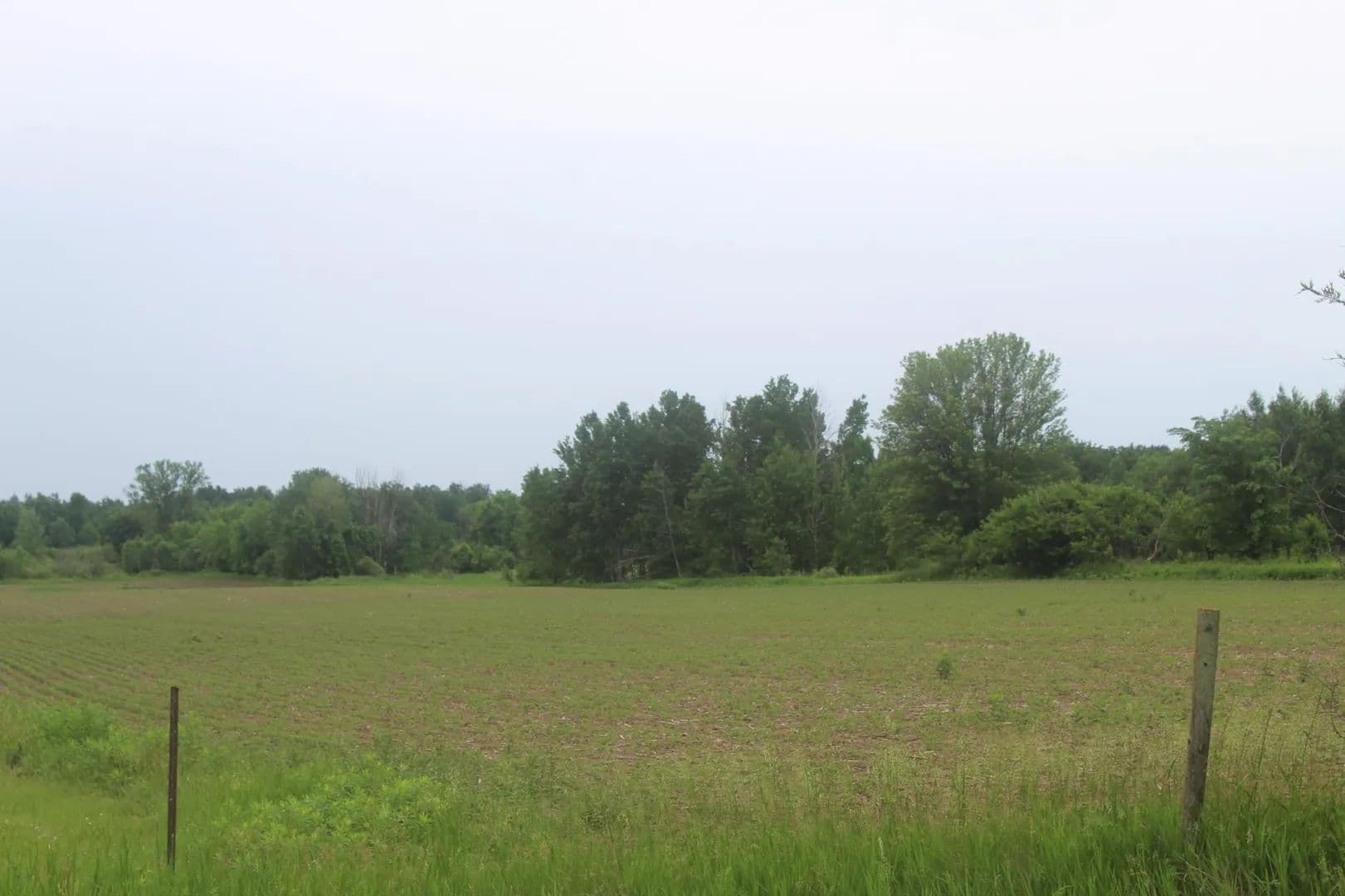 Property from TBD-1 120 Avenue - KW - Ogilvie, Minnesota, 56358
