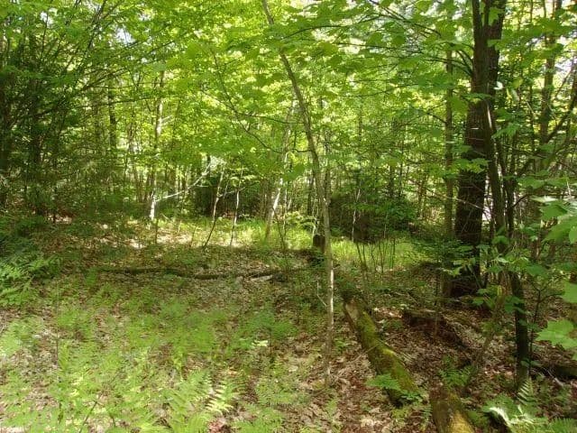 Property from Lincoln Way - KW - land for sale