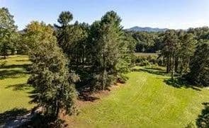Candler, NC (West Asheville) 9.23+/- acre development opportunity - Candler, North Carolina, 28715