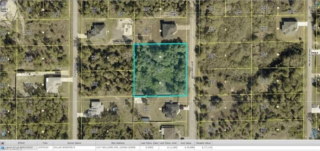 Property from 1317 Williams AVE - KW - Lehigh Acres, Florida, 33972