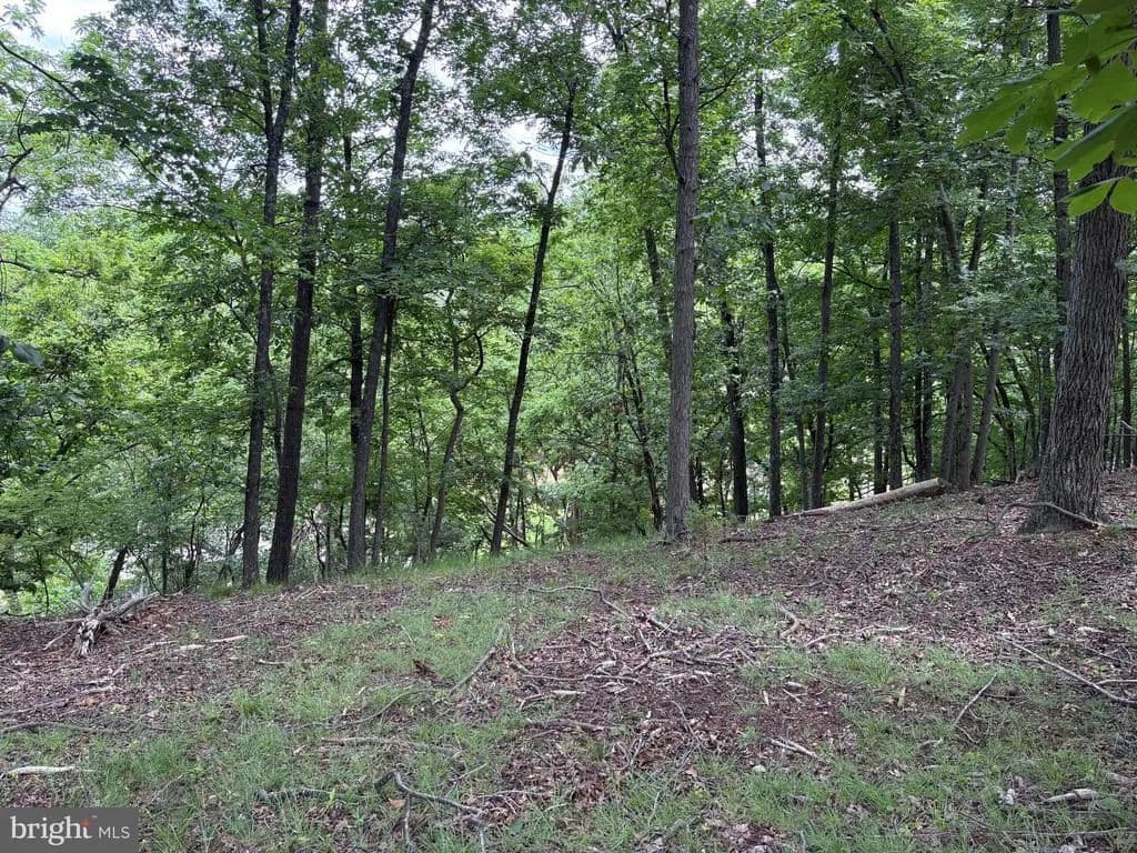 1.17 Acres of Land for Sale in Romney, West Virginia - land for sale
