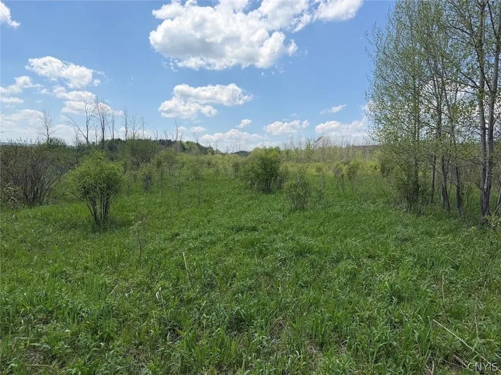 Property from Buttermilk Road - KW - South Dayton, New York, 14138