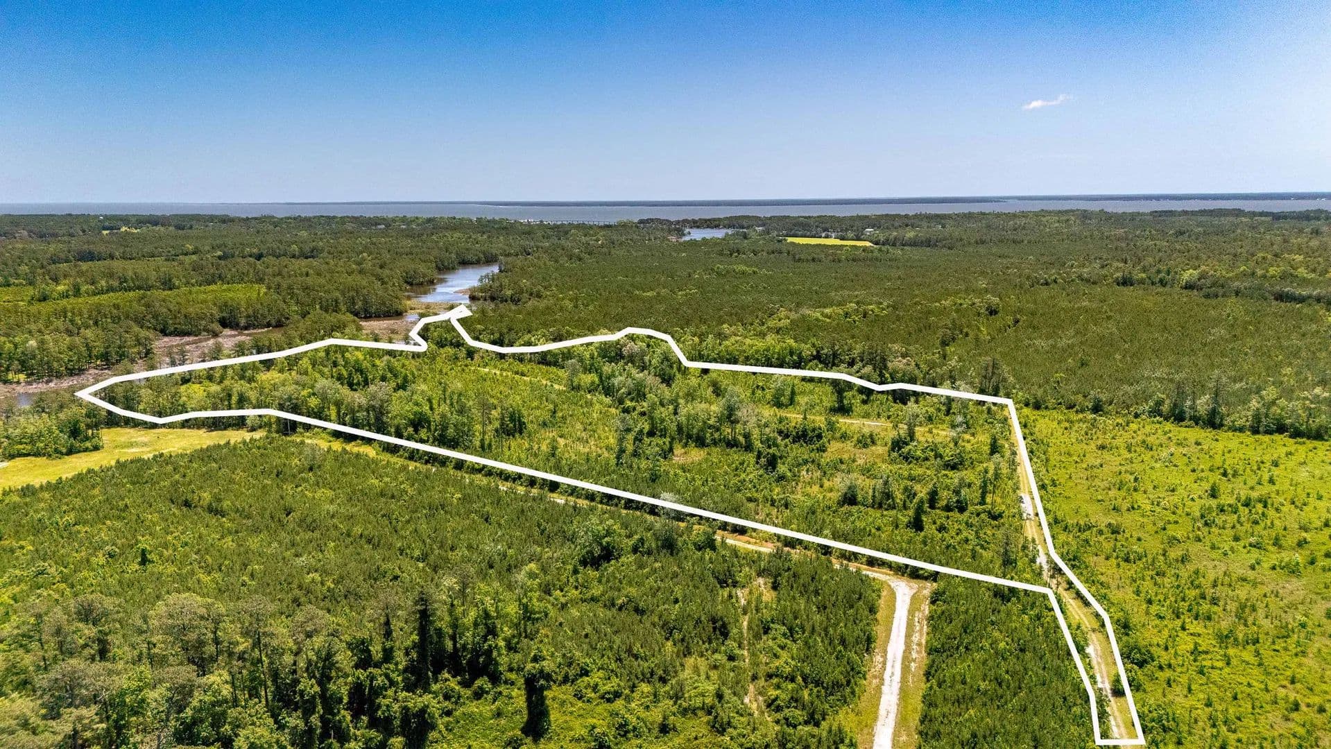 Vacant Land (10+ Acres) in Oriental - Oriental, North Carolina, 28571