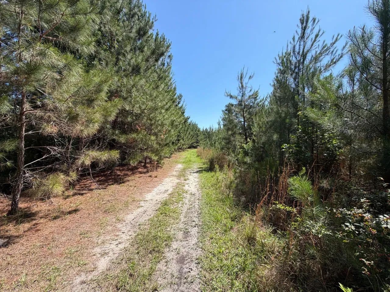 Bucks 17-2 - land for sale