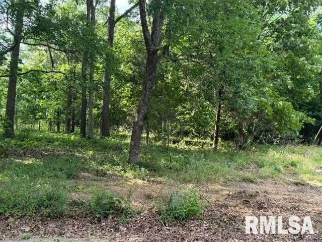 Property from 000 Wagon Creek Loop - KW - Creal Springs, Illinois, 62922