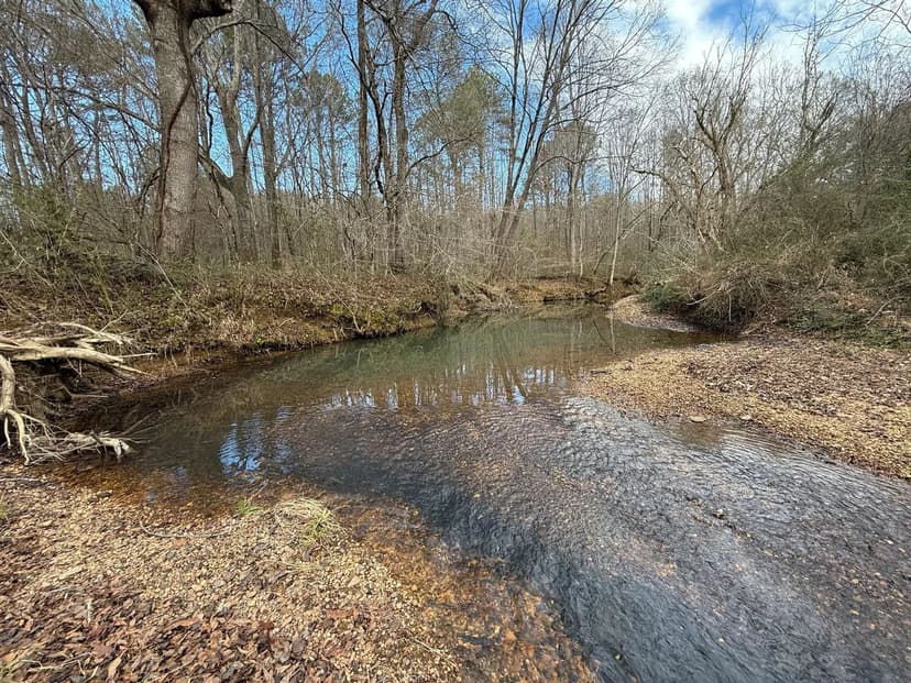 UNDER CONTRACT! 104+/- acres Hunting & Timberland