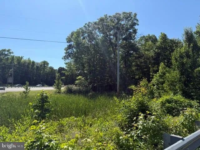 2.42 Acres of Land for Sale in Waldorf, Maryland - Waldorf, Maryland, 20601