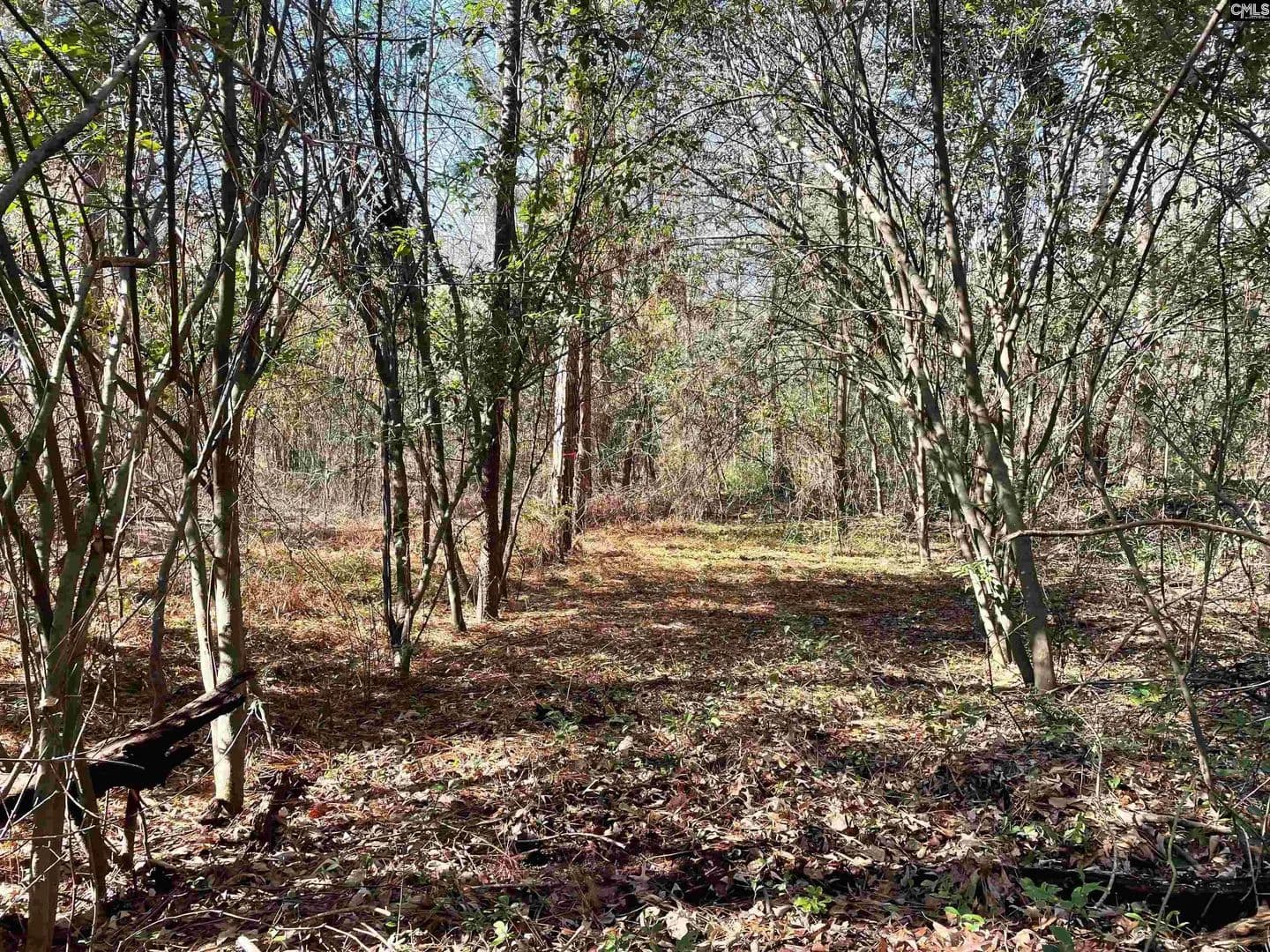 Vacant Land in Gilbert - Gilbert, South Carolina, 29054