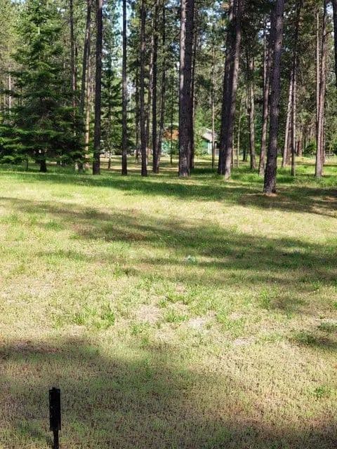 Vacant Land in Chewelah - Chewelah, Washington, 99109