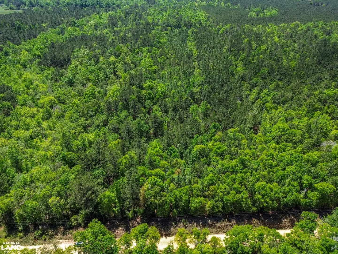 Grider Mock Rd Hunting and Timber Investment - Red Level, Alabama, 36474