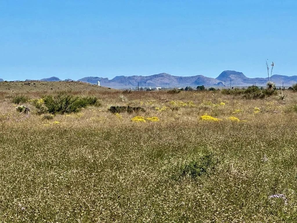 Property from 18311 Hwy 90 - KW - Marfa, Texas, 79843