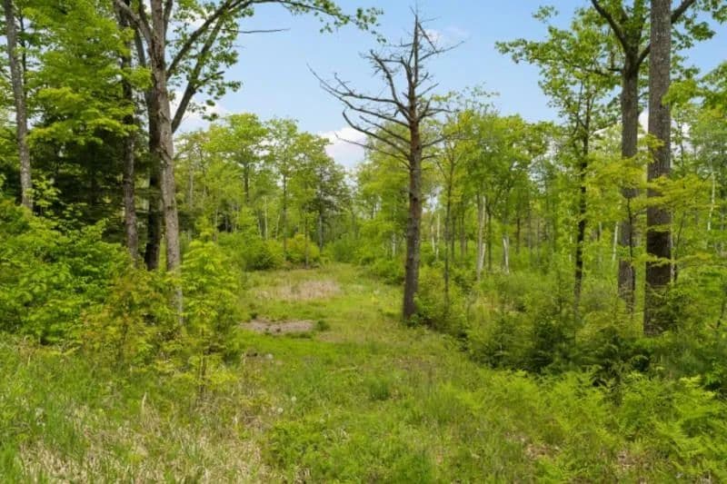 Property from 00 Canaan Street - KW - Canaan, New Hampshire, 3741