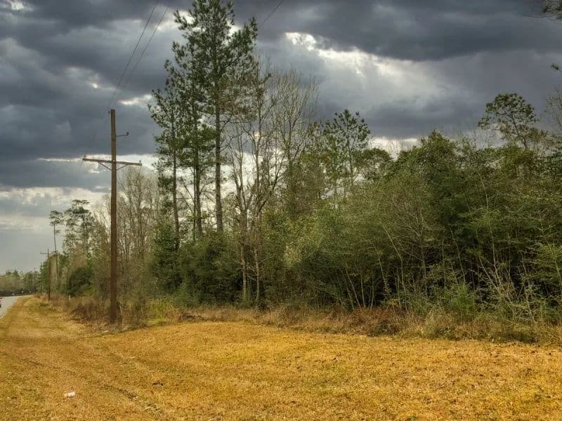 11 Acres | A7 | FM 2937