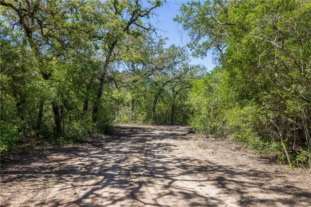 15 Acres of Land for Sale in Caldwell, Texas - Caldwell, Texas, 77836