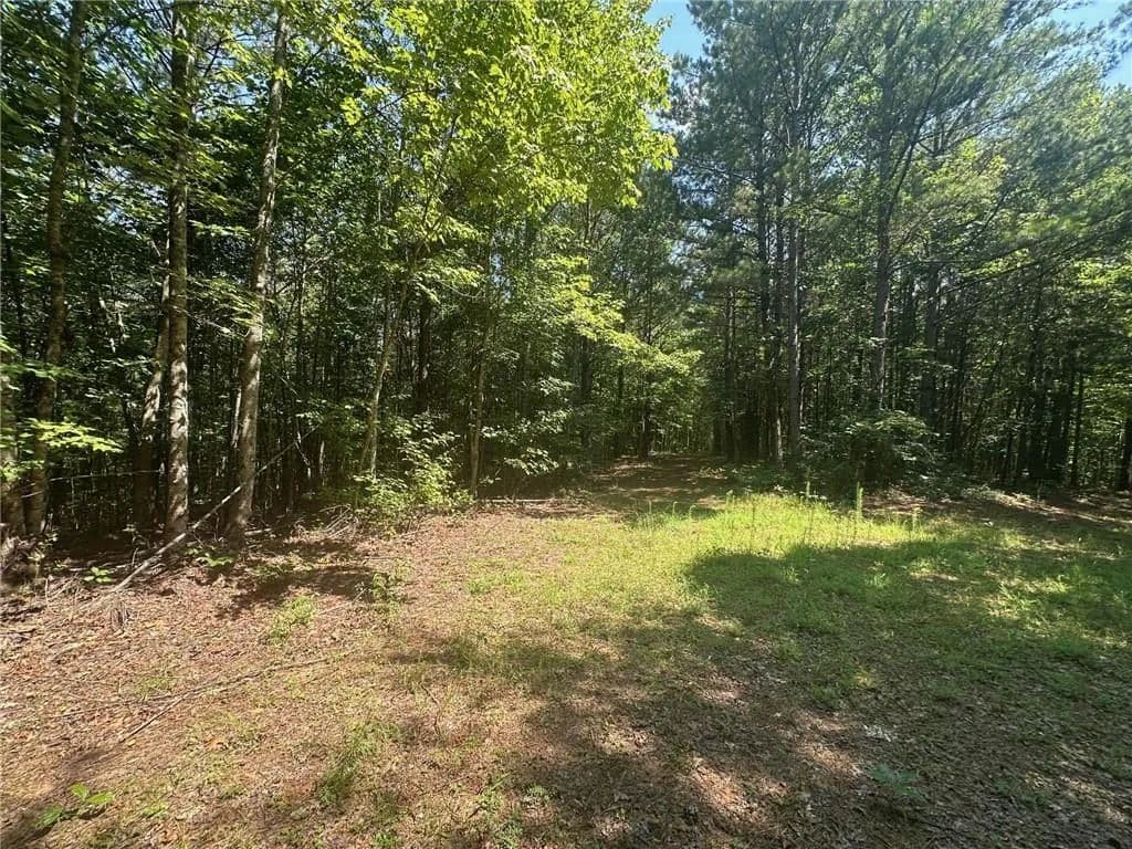 Property from 40 Patriot View Drive - KW - Dahlonega, Georgia, 30533