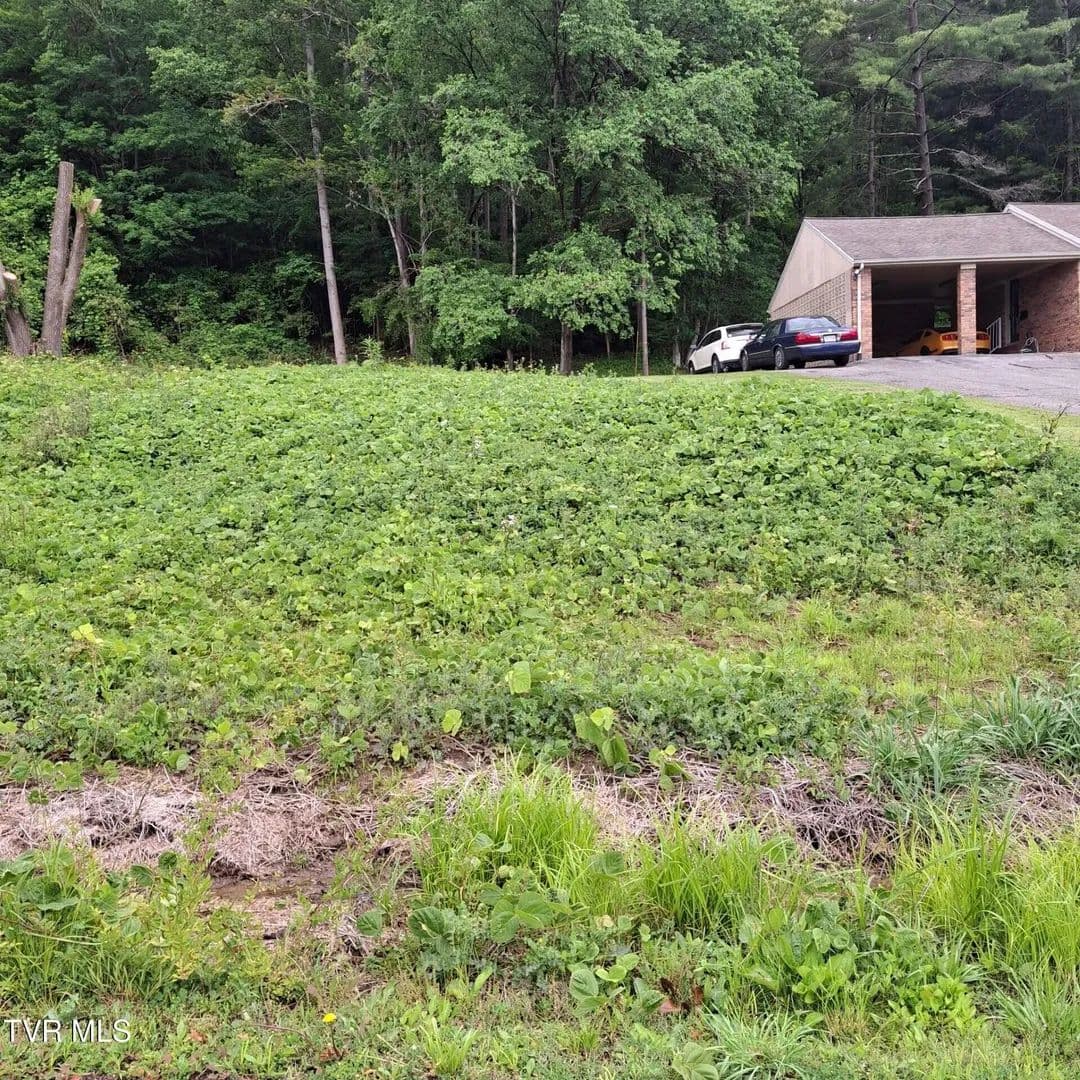 Property from Tbd East 6th Ave - KW - Big Stone Gap, Virginia, 24219