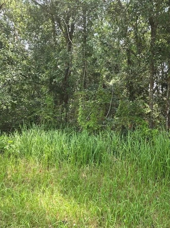 Vacant Land in Eight Mile - Eight Mile, Alabama, 36613