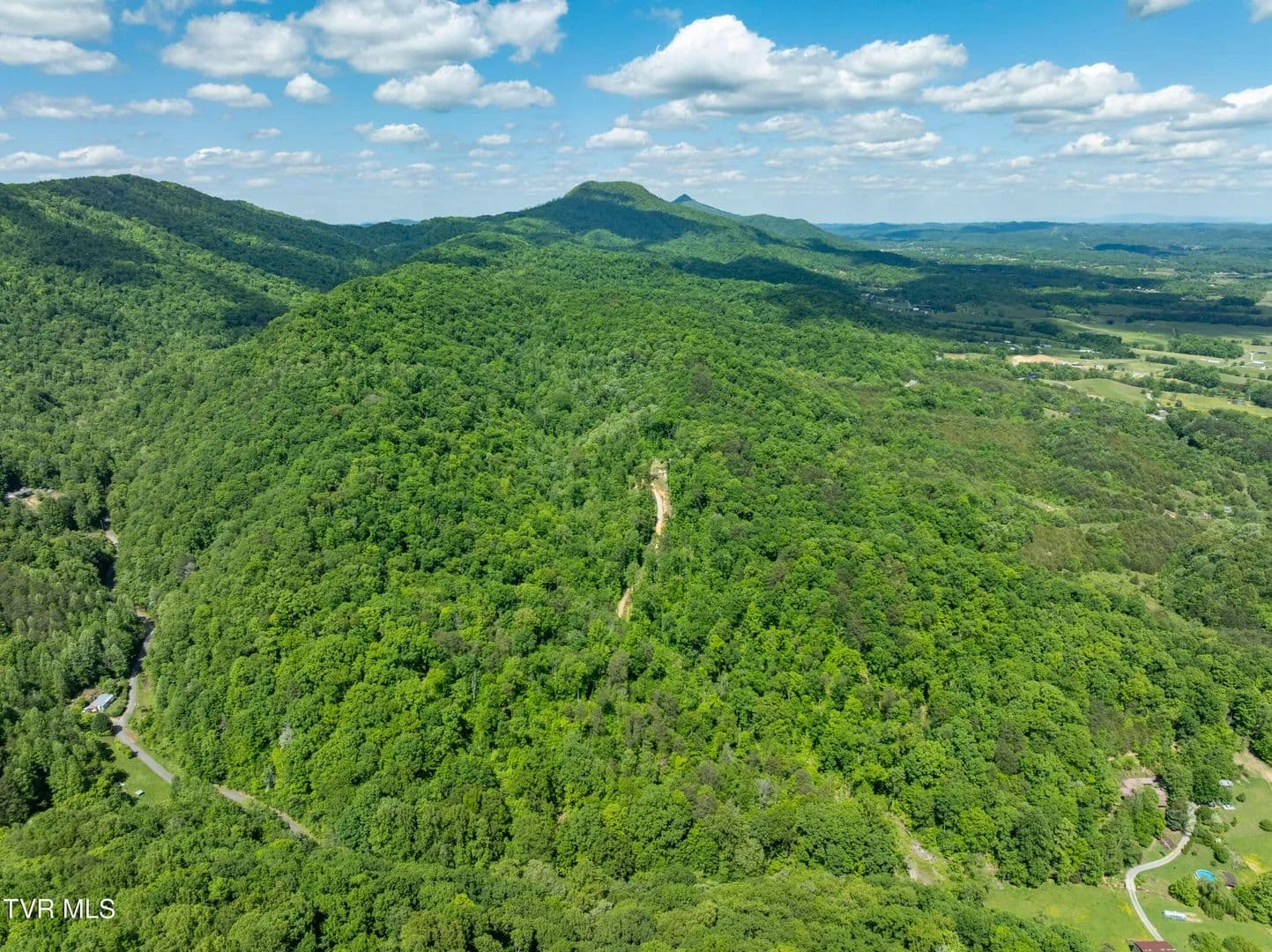 118 Acres of Land for Sale in Greeneville, TN - Greeneville, Tennessee, 37745
