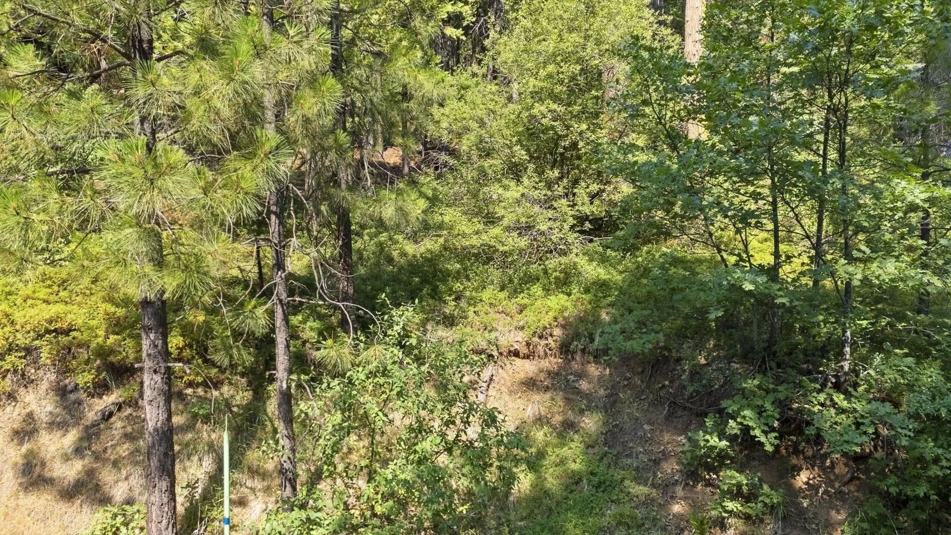 Lots & Land-Other in Mi Wuk Village - California, 95346