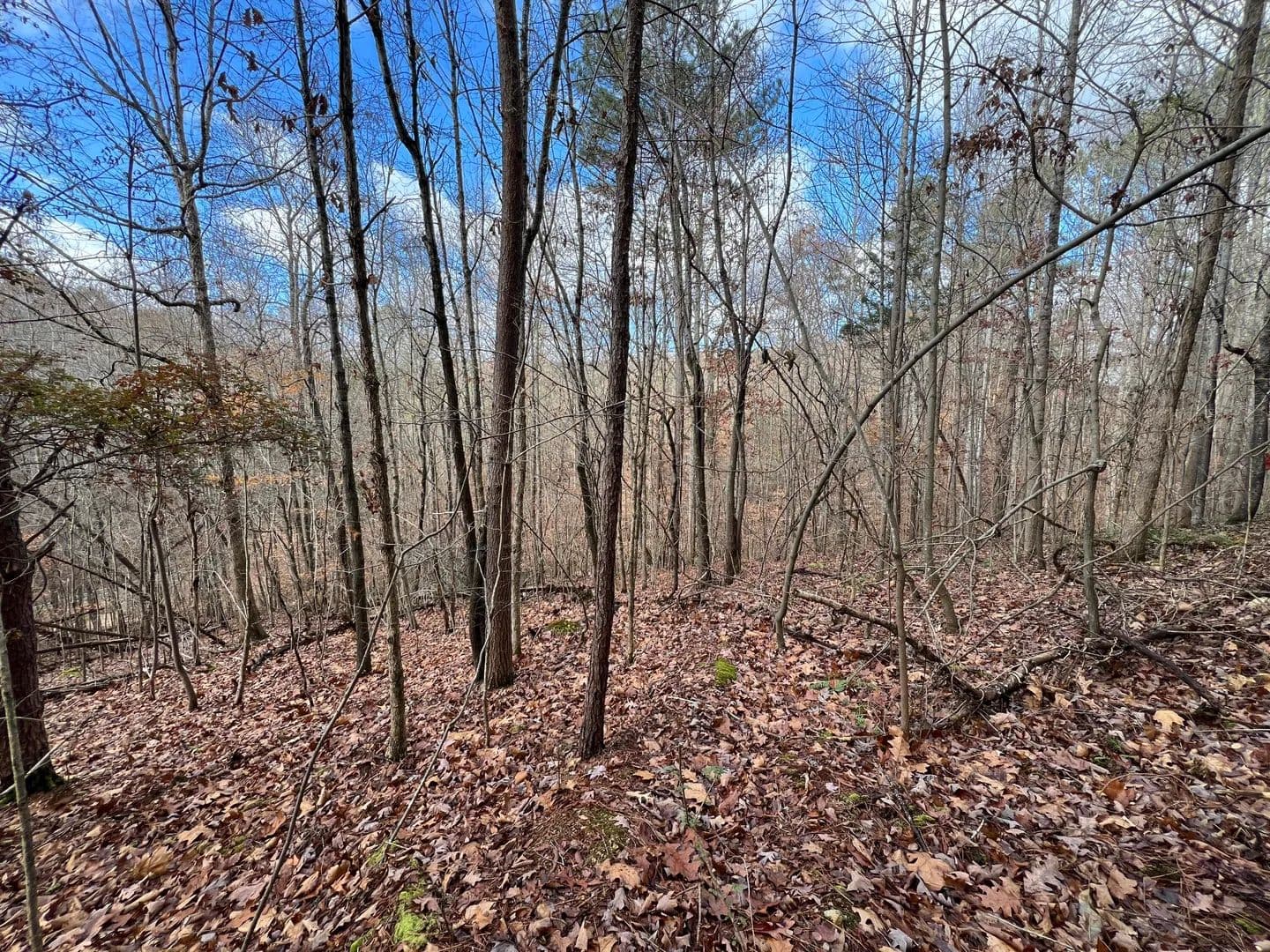 Property from 0 Smyrna Road - KW - Evensville, Tennessee, 37332