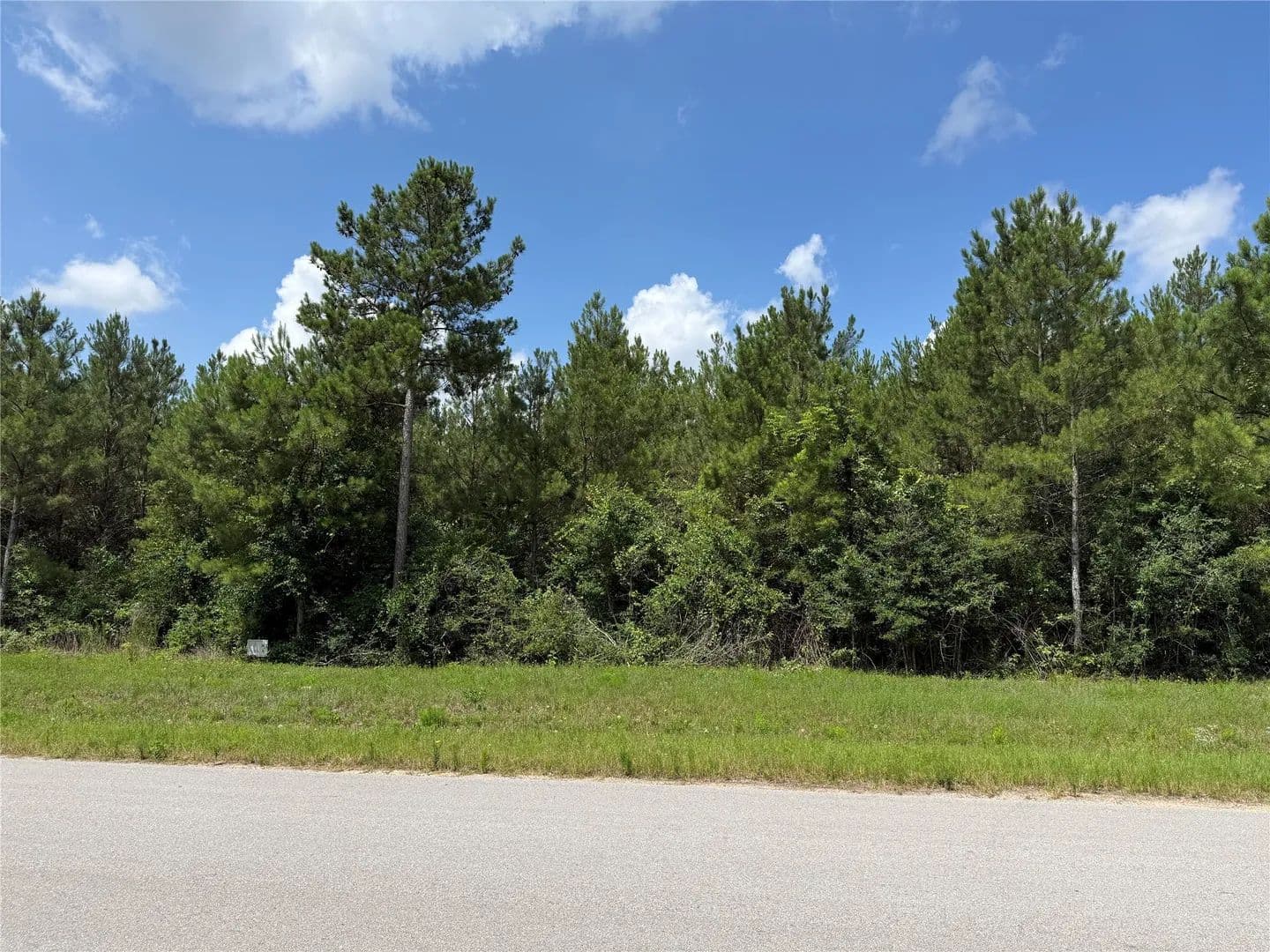 Property from 15751 Wood Grove Way - KW - Willis, Texas, 77378