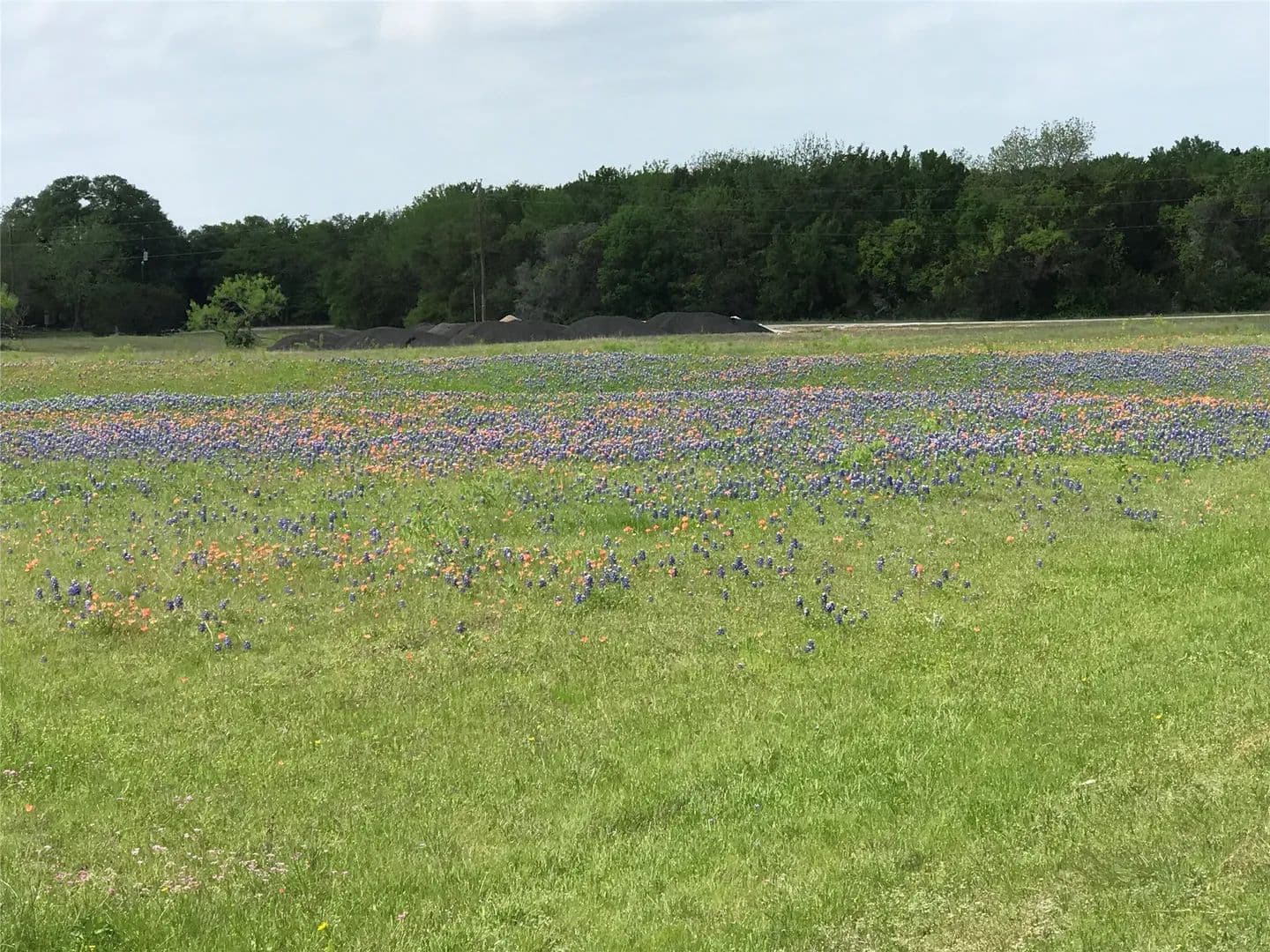 1.36 Acres of Land for Sale in Whitney, Texas - Whitney, Texas, 76692
