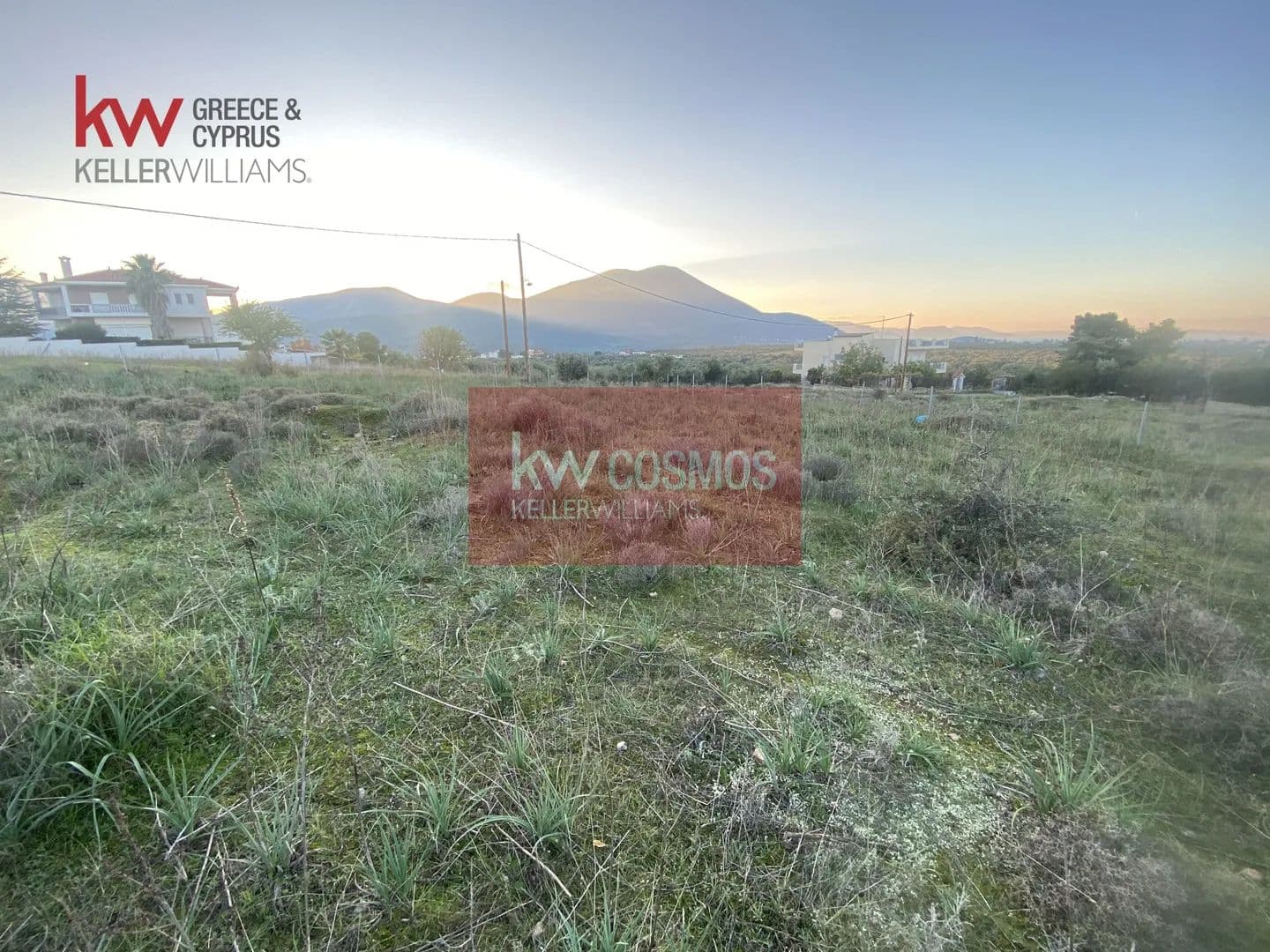 Land for Sale in Anthidonos, Evia - land for sale