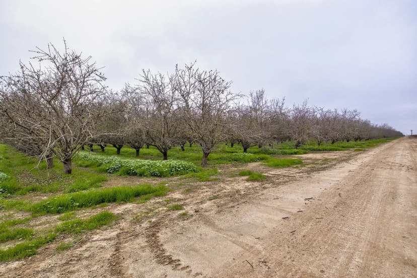 Avenue 48 & Road 164, Earlimart