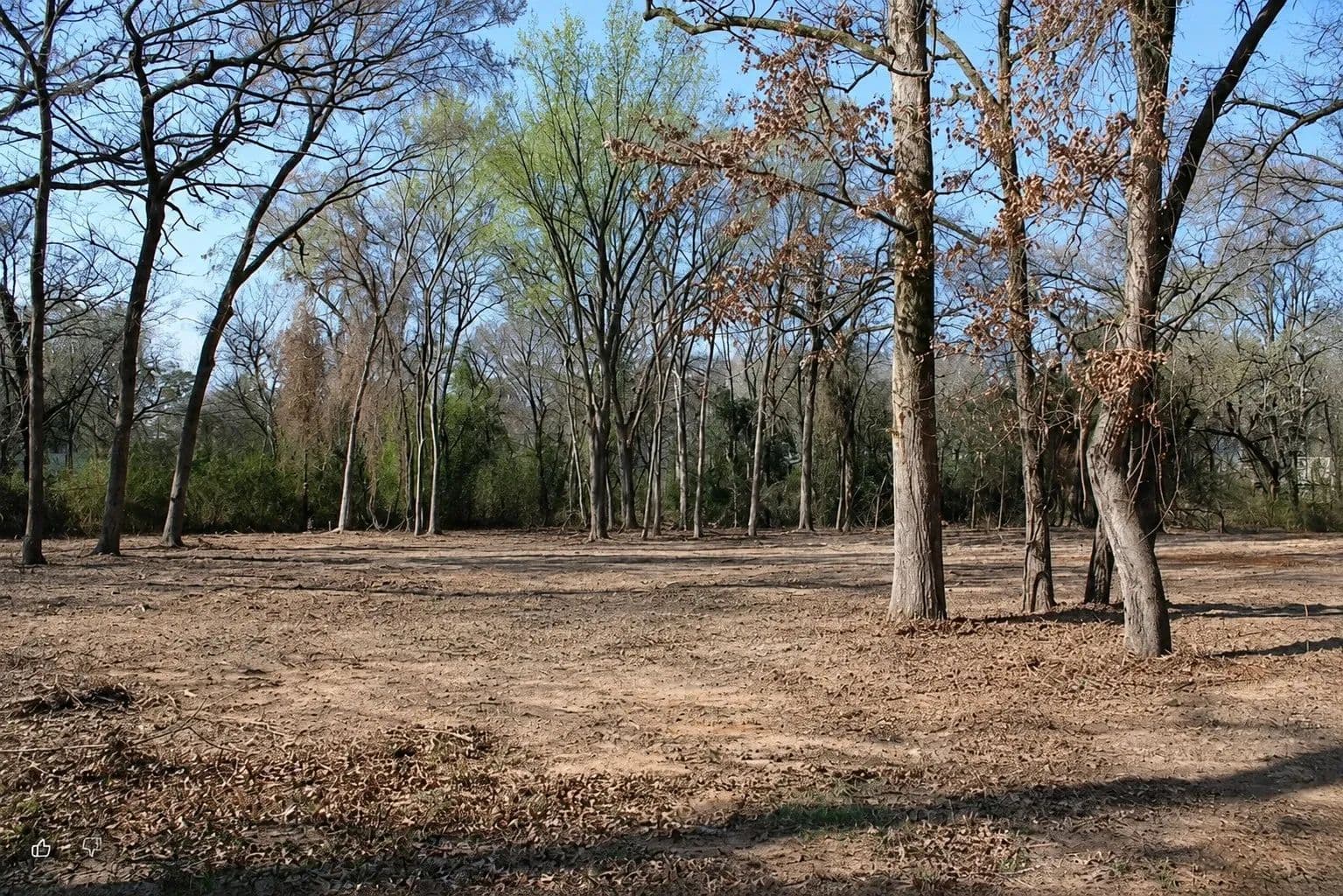0.26 Acres of Land for Sale in Gun Barrel City, Texas - Gun Barrel City, Texas, 75156