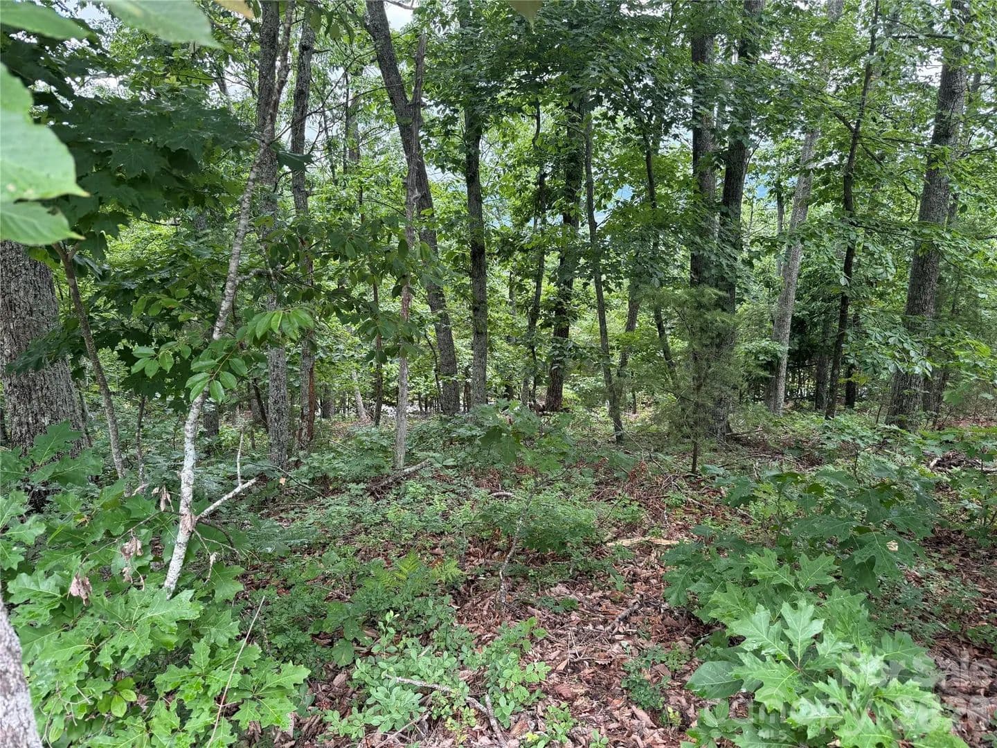Property from 0 Arbra Mountain Way #54 - KW - Bostic, North Carolina, 28018