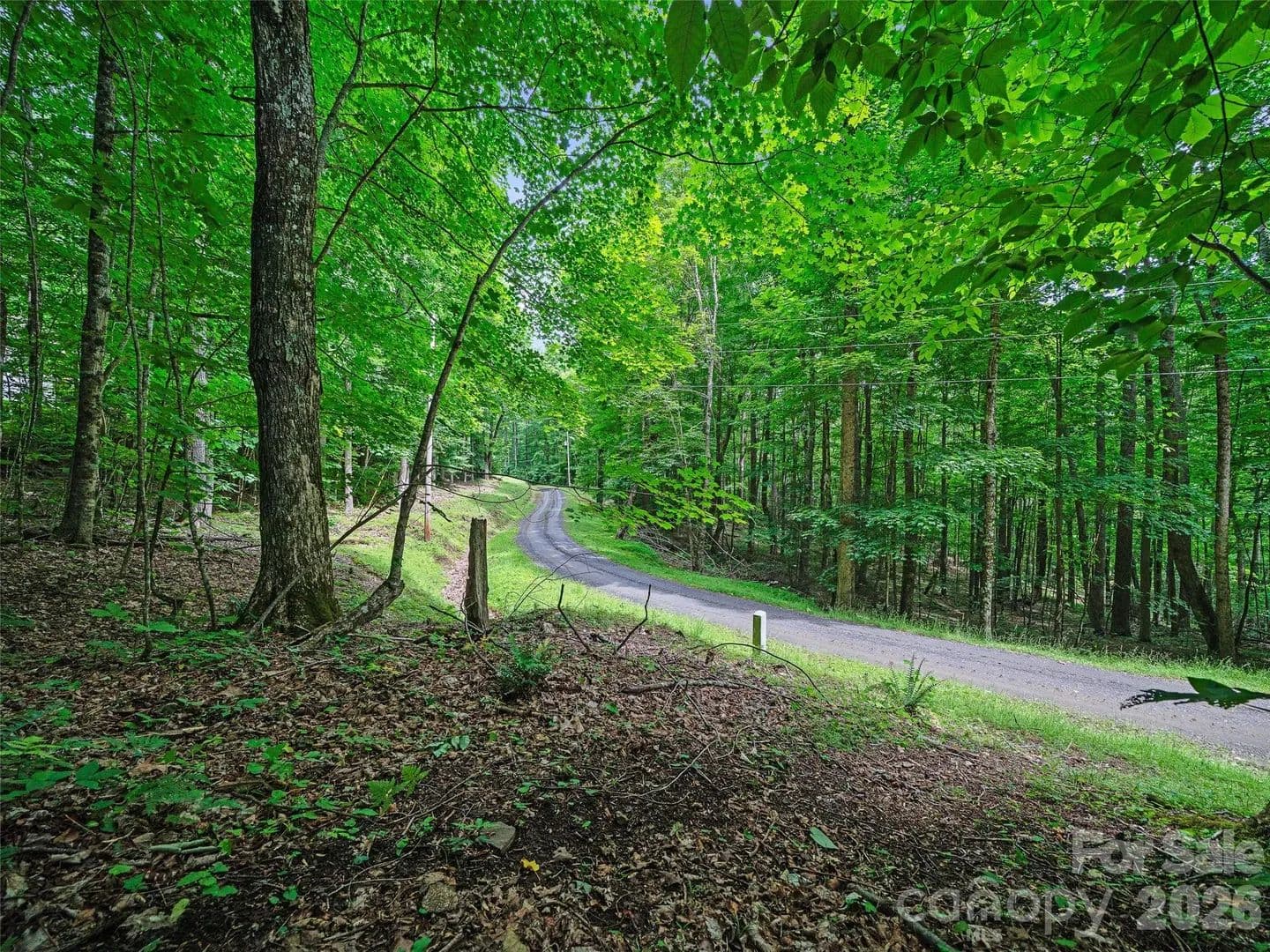 6.14 Acres of Land for Sale in Burnsville, NC - Burnsville, North Carolina, 28714