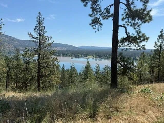 Vacant Land in Nine Mile Falls - land for sale