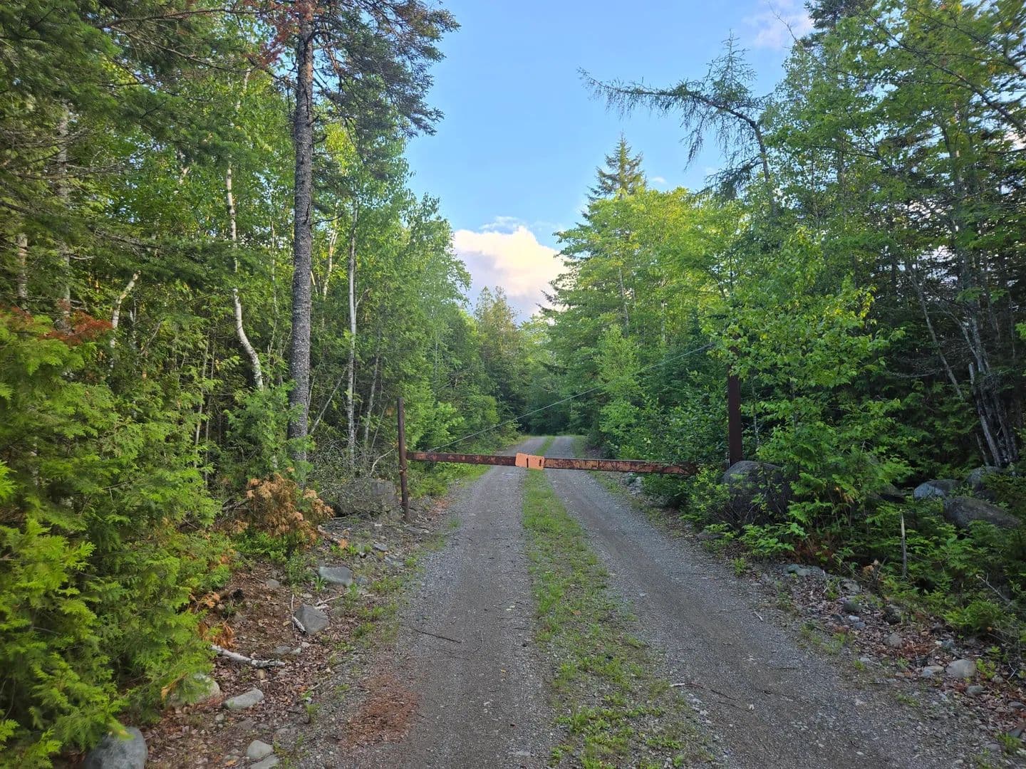 503 Acres of Land for Sale in Lubec, ME - Lubec, Maine, 04652