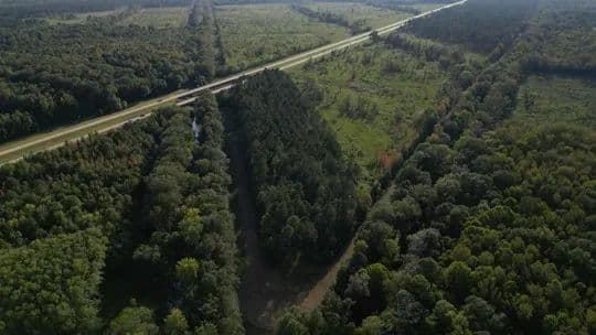 24 Acres (East) in Oktibbeha County in Starkville, MS