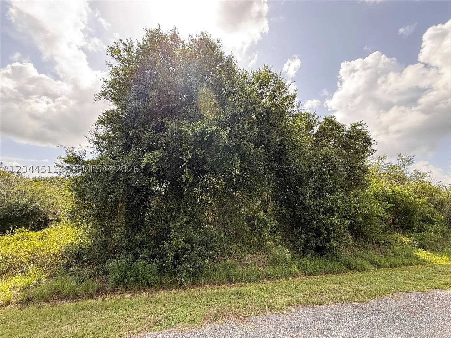 1.25 Acres of Land for Sale in Clewiston, FL - Clewiston, Florida, 33440