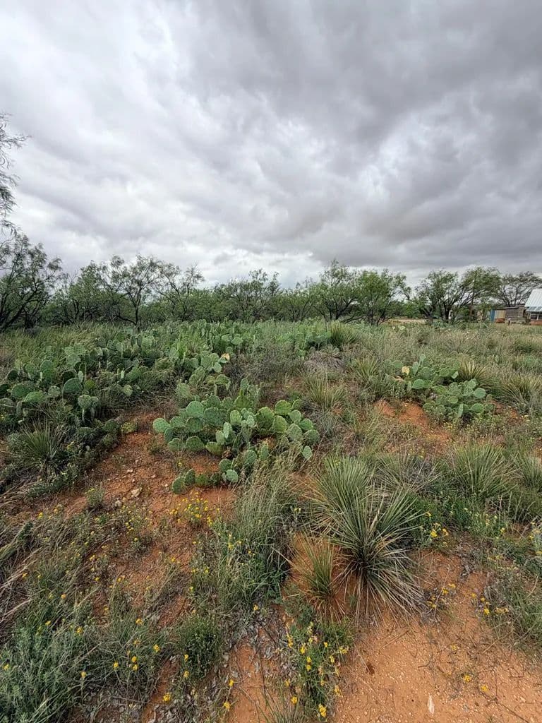 0.96 Acres of Land for Sale in Loraine, Texas - Loraine, Texas, 79532