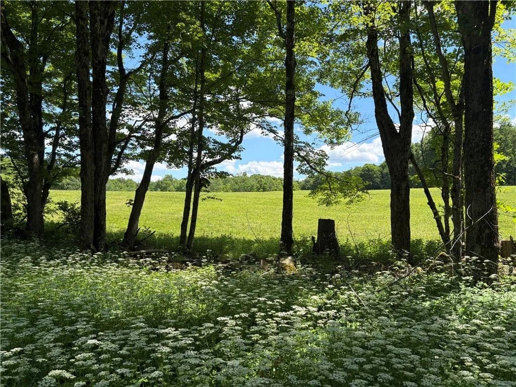 95 Acres of Land for Sale in Norwich, NY - Norwich, New York, 13815